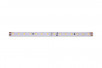 Лента светодиодная LUX, 2835, 98 LED/м, 10 Вт/м, 24В, IP33, Нейтральный белый (4000K)