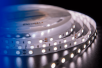 Лента светодиодная LUX, 5050, 60 LED/м, 14,4 Вт/м, 24В, IP33, Нейтральный белый (4000K)