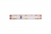 Лента светодиодная стандарт 2835, 60 LED/м, 4,8 Вт/м, 12В , IP65, Цвет: Холодный белый
