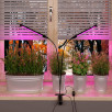 Светодиодный светильник для растений на прищепке FT-005 чёрный