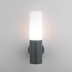 Настенный уличный светильник IP54 серый 1418 TECHNO