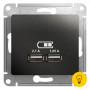 Розетка USB 2-ая (для подзарядки), Антрацит, серия Glossa, Schneider Electric
