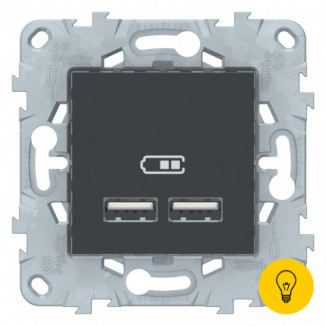 Розетка USB 2-ая (для подзарядки), Антрацит, серия Unica New, Schneider Electric