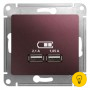 Розетка USB 2-ая (для подзарядки), Баклажановый, серия Glossa, Schneider Electric