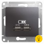 Розетка USB 2-ая (для подзарядки), Графит, серия Glossa, Schneider Electric