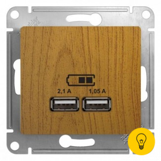 Розетка USB 2-ая (для подзарядки), Дерево Дуб, серия Glossa, Schneider Electric