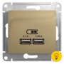 Розетка USB 2-ая (для подзарядки), Титан, серия Glossa, Schneider Electric