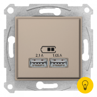 Розетка USB 2-ая (для подзарядки), Титан, серия Sedna, Schneider Electric