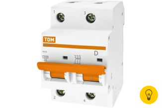 Автоматический выключатель TDM ВА47-100 2Р 100А 10кА D SQ0207-0022