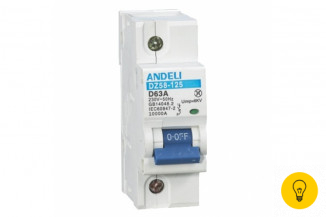 Автоматический выключатель ANDELI DZ58-125 1P 100A х-ка 8-12In ADL01-633